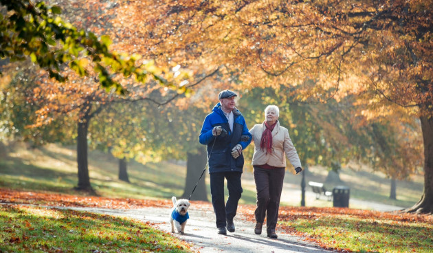 Proud to be supporting Weston Park Cancer Charity